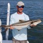 cobia-10-11-2020