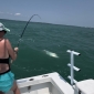 Mothers-Day-Tarpon4