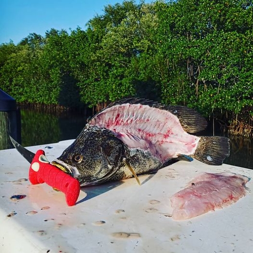 tripletail-dinner