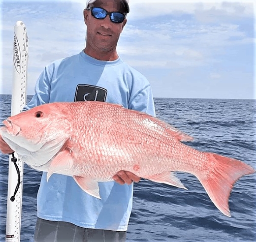 red-snapper1-592x560