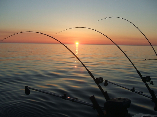 offshore-fishing